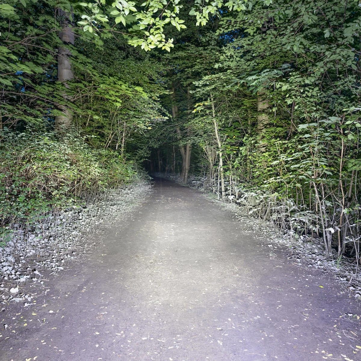 SIGMA Buster 1600 HL Helmet Lamp 19 SIGMA Buster 1600 HL Helmet Lamp - Image 17